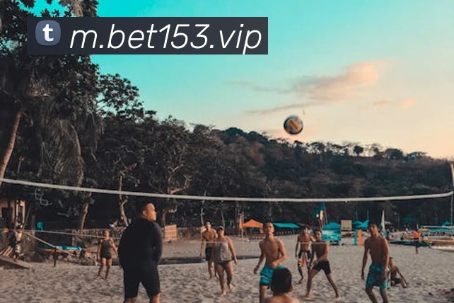 bet365com服务体系